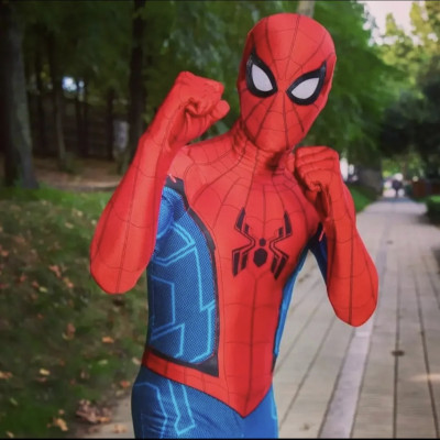 Spiderman Brand New Day kostüm